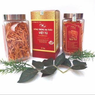 Đông trùng hạ thảo sấy khô – 50g