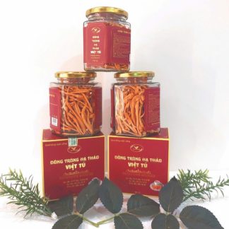 Đông trùng hạ thảo sấy khô – 10g