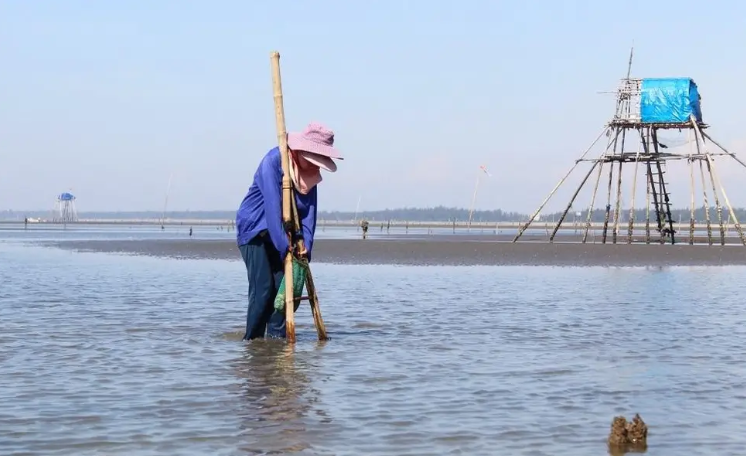Người dân cào ngao trên biển