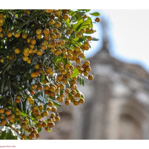 z5887260753335_883c791de2e90ccda1e6336dccc97937